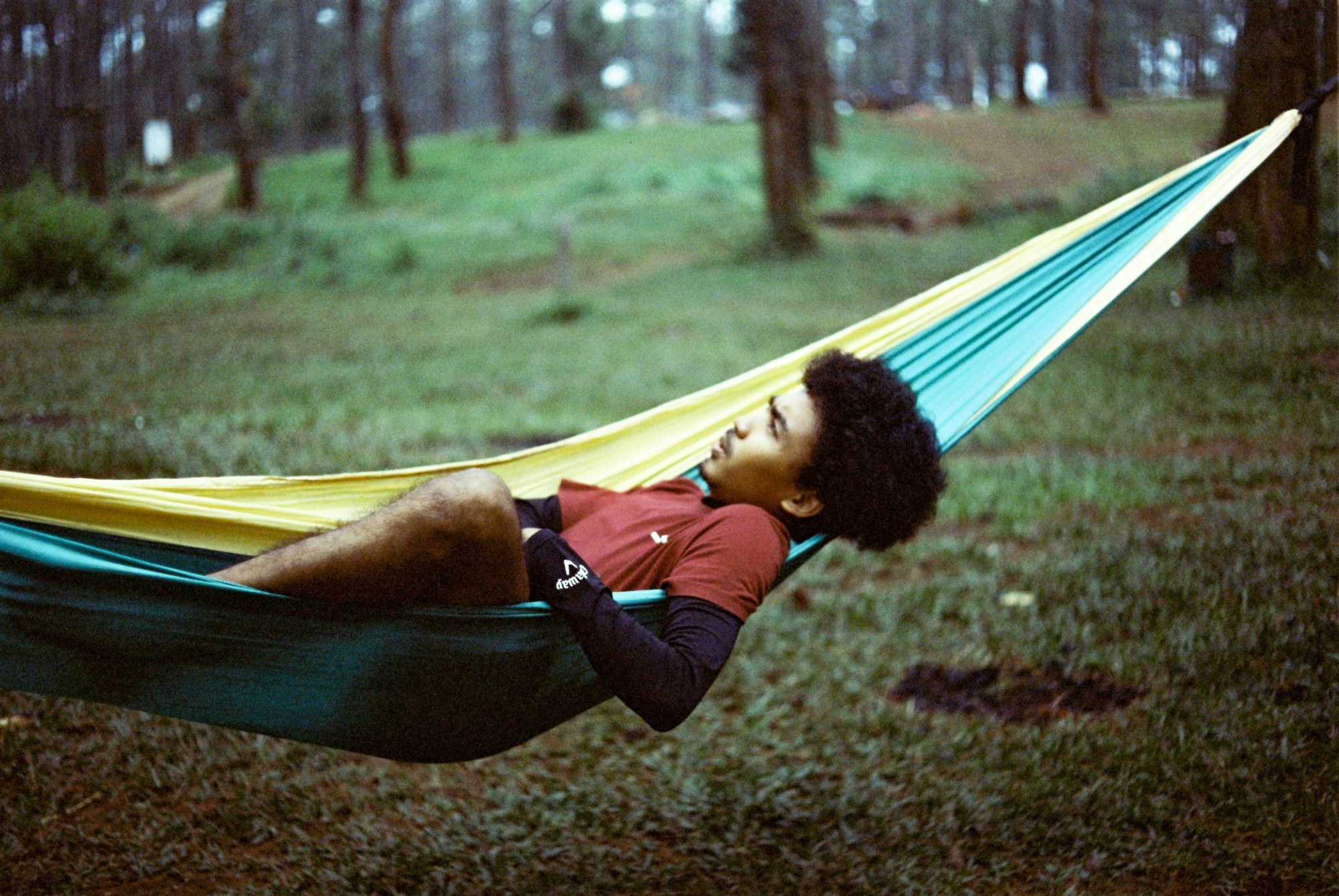 Resting in a hammock among pines