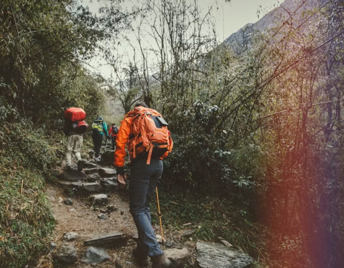 Hikers on a mountain trail